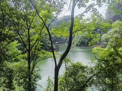 -修水东浒寨风景区