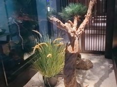 -见康道莱•足浴按摩•艾灸•SPA(友谊店)