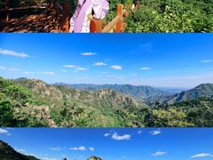 -大岭沟猕猴桃谷风景区