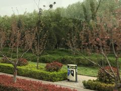 -洨河生态公园