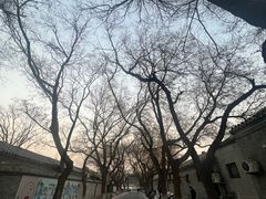 -北京国子监胡同
