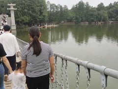 -东湖落雁景区