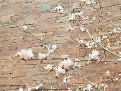 -东华门大街小区