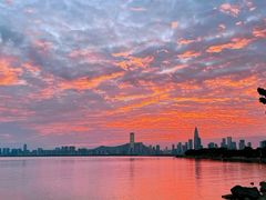 -深圳湾公园(南山区)