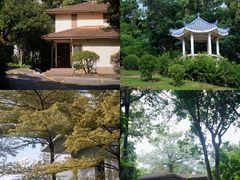 -厦门悦华酒店