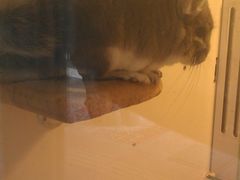 -龙猫仔乐园(惠福东路店)