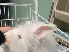 -怪兽屋·羊驼·猫咖·狗咖(俊华广场店)