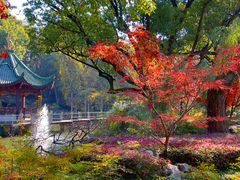 -申粤轩酒楼·三十年粤菜经典(丁香花园店)