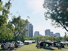 -新江湾城公园