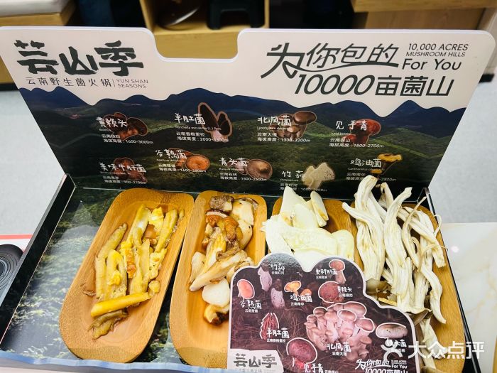 芸山季·云南野生菌火锅(南翔印象城MEGA店)图片