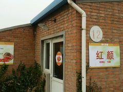 大棚-甜心庄园·甜心草莓采摘园(西青中北店)