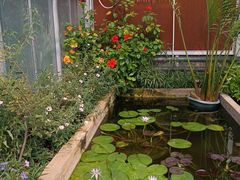 -国家植物园南园