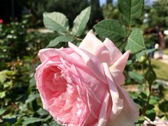 -人民公园(罗湖区)