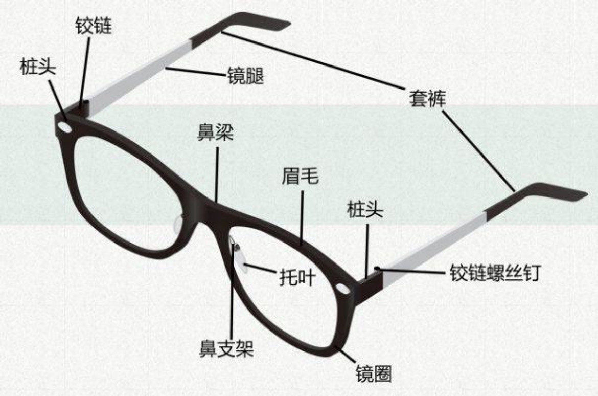 眼镜的组成