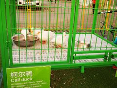 -北京华联购物中心(天通苑店)