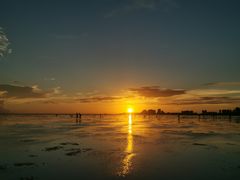 -北海金海湾红树林生态旅游区