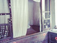 景点-溱湖国家湿地公园