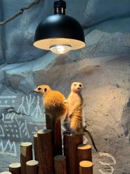 -Zoolung Zoolung动物主题公园(海信广场店)