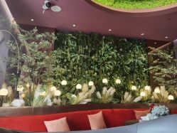 -花隐·美芙炫海菲秀皮肤管理中心