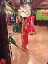 -上海徐(东方新天地店)