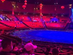 -珠海横琴长隆《卡卡虎奇遇记》