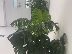 -极简口腔(总院)