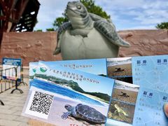 -广东惠东海龟国家级自然保护区
