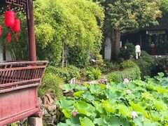 -上海醉白池公园