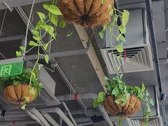 -Wagas沃歌斯(五道口购物中心店)