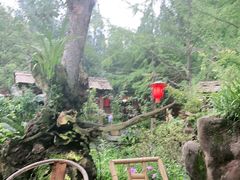 -青城甲(青城山店)