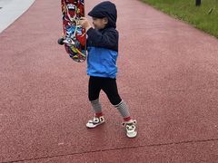 -春花秋色城市公园