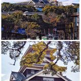 日本旅行|日本不落的名城，因熊本熊闻名世界
