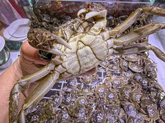 -聚盛源蒸汽海鲜火锅烤肉自助(巨川金海岸购物广场店)