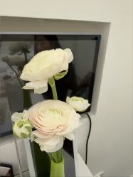 -妈妈时光机医疗产后修复(南山茂业百货店)