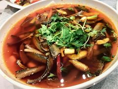 -高坎一品甲鱼庄(两河店)