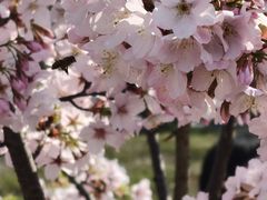 -艾溪湖湿地公园