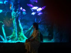 -暹罗海洋世界