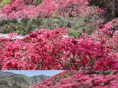 -木兰云雾山
