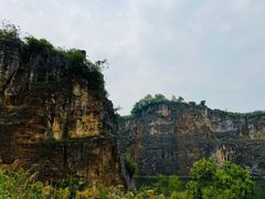 -南山植物园