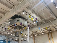 -猫的天空之城概念书店(杭州南宋御街店)