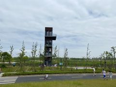 -春花秋色城市公园