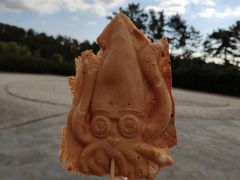 -柱状节理带