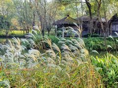 -西溪国家湿地公园