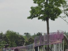 -桂溪生态公园