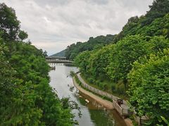 -广州市帽峰山景区