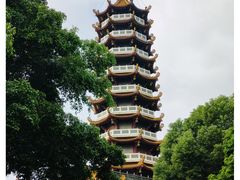-仙岳公园