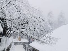 -峨眉山风景名胜区