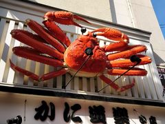 -蟹道乐(道顿堀本店)