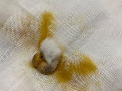 -灵美宠物诊所