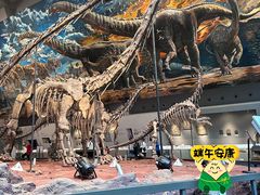 -重庆自然博物馆(新馆)
